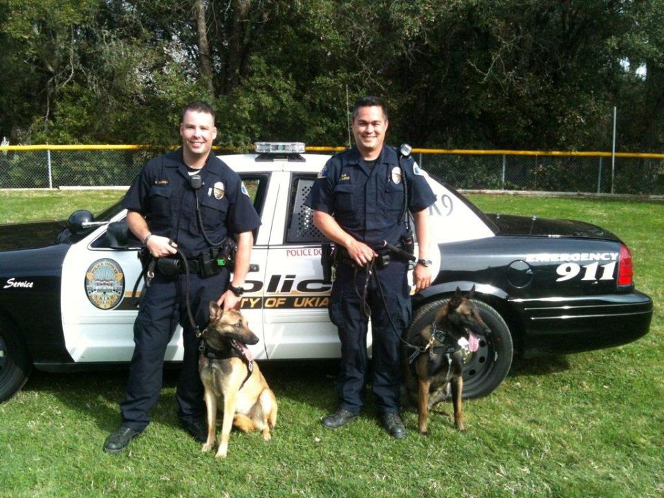 Scaled image k9-training3.jpg 