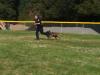 Thumbnail k9-training1.jpg 