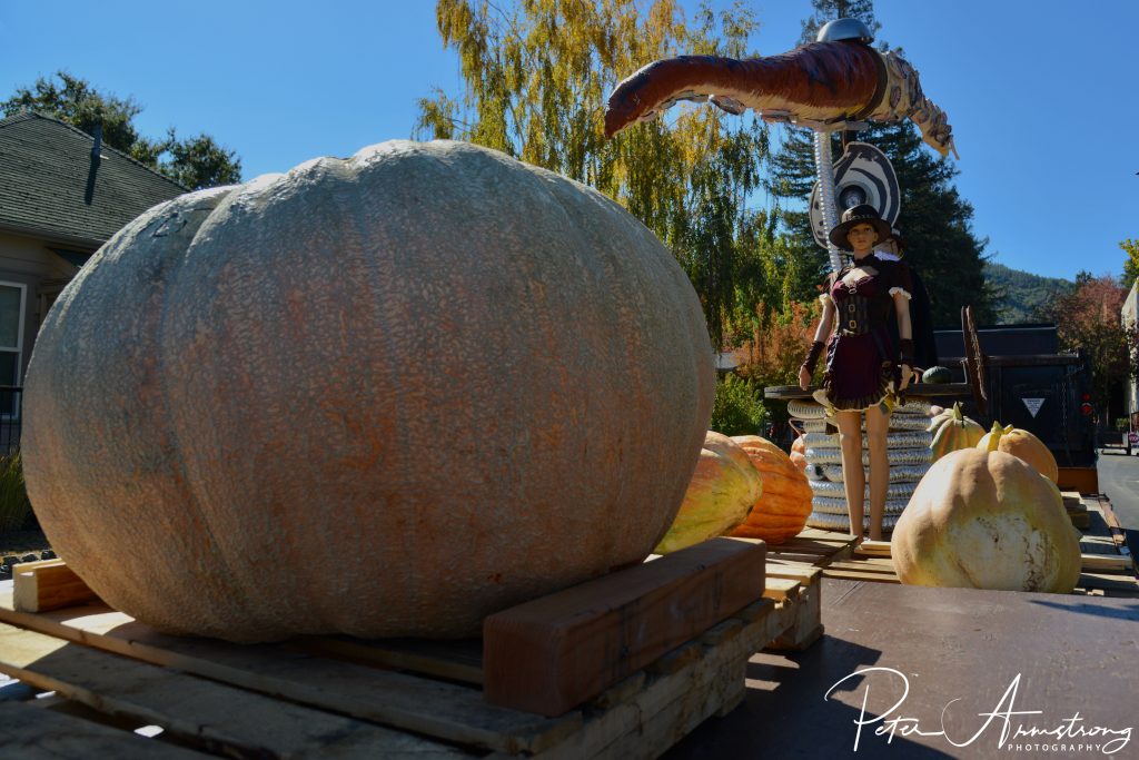 Ukiah PumpkinFest Giant Pumpkin Weigh-Off