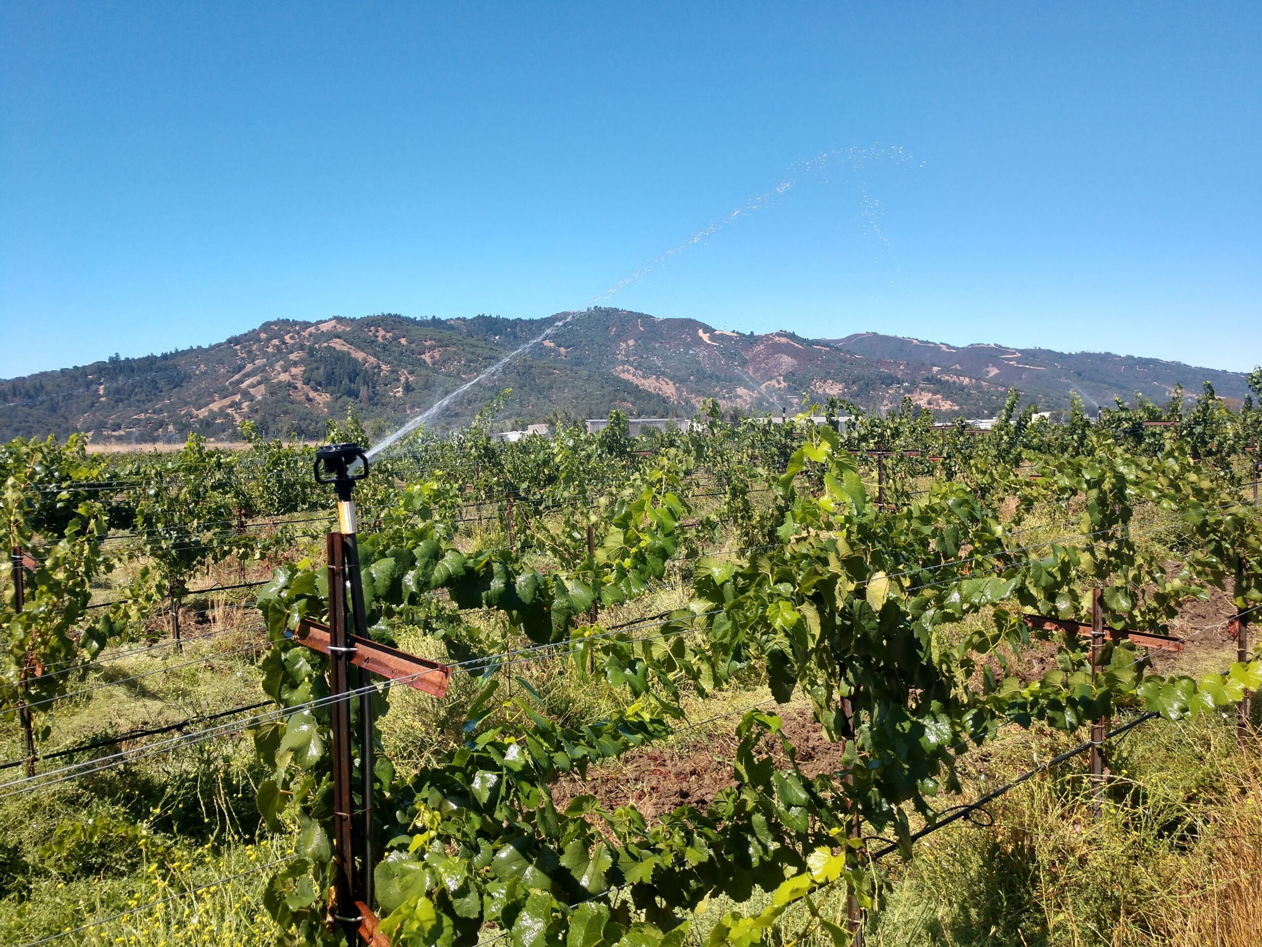 Water Resources City of Ukiah, CA