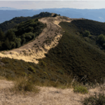 Fire Break Along Main Road Near Lookout Peak