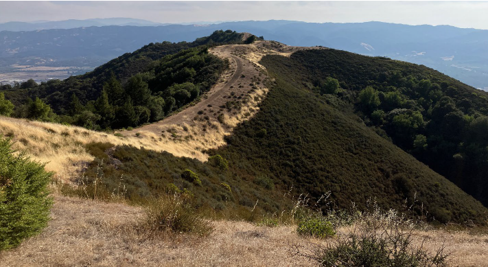 Fire Break Along Main Road Near Lookout Peak